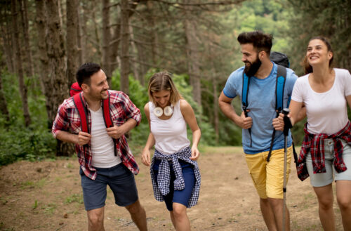 Découvrez les Trésors Cachés des Ardennes : Votre Guide pour des Expériences Inoubliables